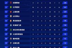 B体育体育新闻-关于上海申花主场负于重庆斯威，战绩有所波动的信息