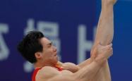 B体育体育注册-体操男子自由体操决赛俄罗斯选手夺冠