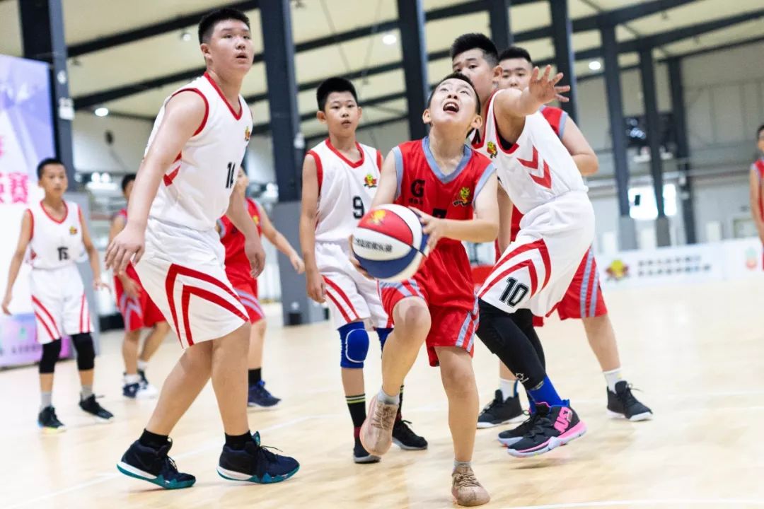 青少年篮球俱乐部举行夏令营